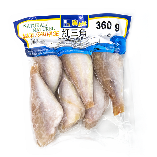 Golden_Thread_Fin_Bream_294776